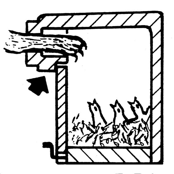 Schwegler Starenhöhle 3SV mit Katzen- und Marderschutz