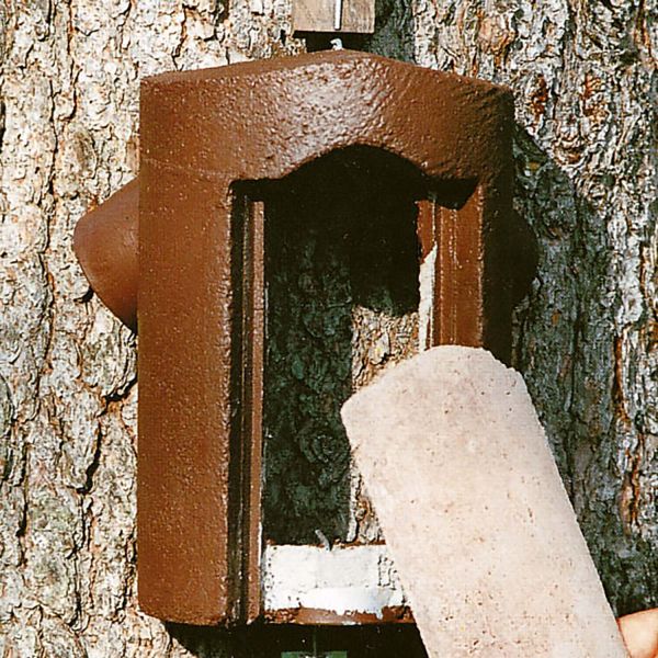 Schwegler Baumläuferhöhle 2B mit Katzen- und Marderschutz