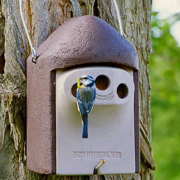 Schwegler Vorderwand  2GR 3-Loch mit Katzen- und Marderschutz