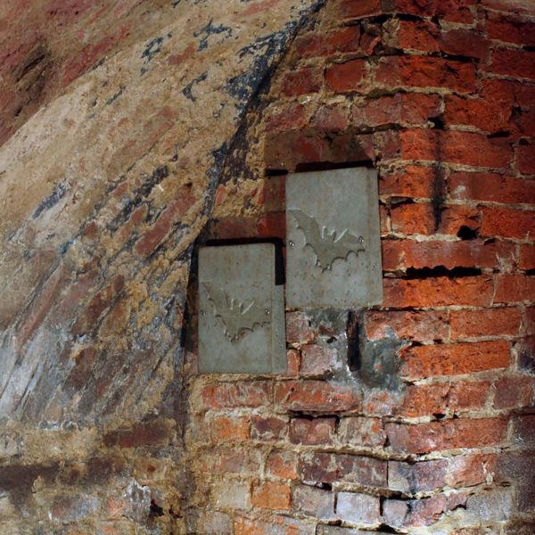 Schwegler Fledermaus Wandschale 2FE (2 Stück!)