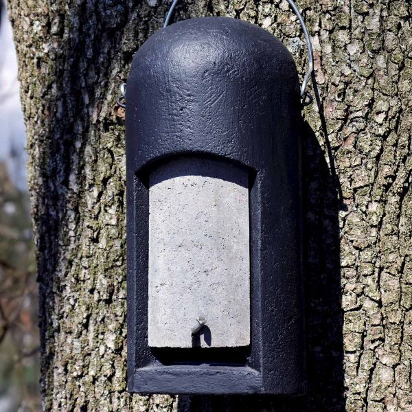 Schwegler Kleinfledermaushöhle 3FN