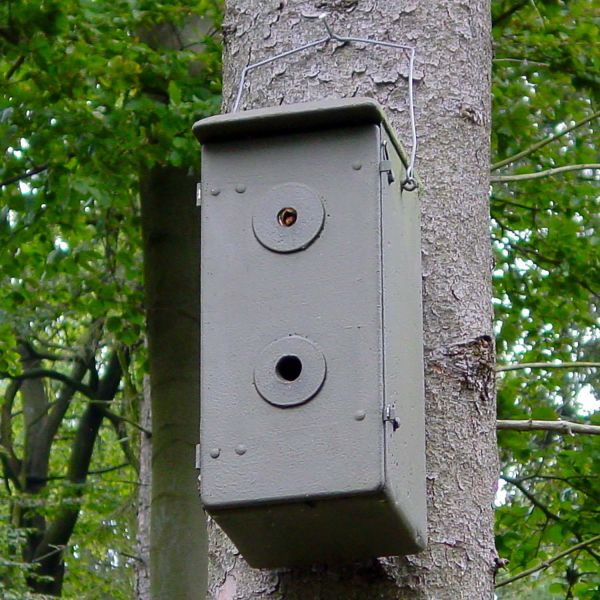 Schwegler Hornissenkasten Hornissenschutz
