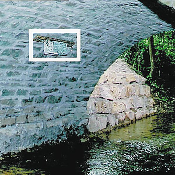 Schwegler Wasseramsel- und Bachstelzennistkasten Nr. 19