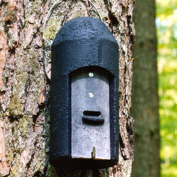 Schwegler Fledermaushöhle 1FD mit 3-facher Vorderwand