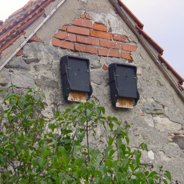 Schwegler Fledermaushöhle 1FF flach schwarz