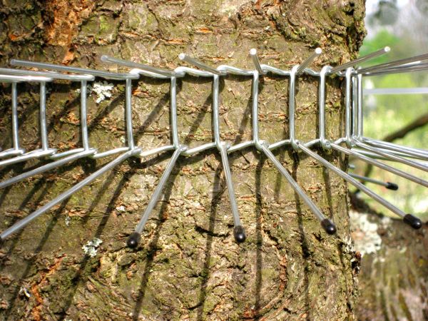 Katzenabwehrgürtel für Bäume bis ca. 70cm Stammumfang, Metallgurt für Bäume  : : Garten