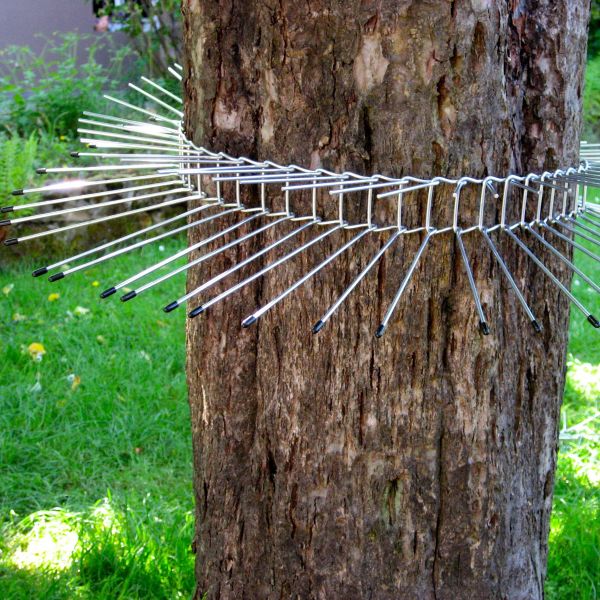 Schwegler Katzen-Abwehrgürtel für Bäume, bis 70 cm Umfang 