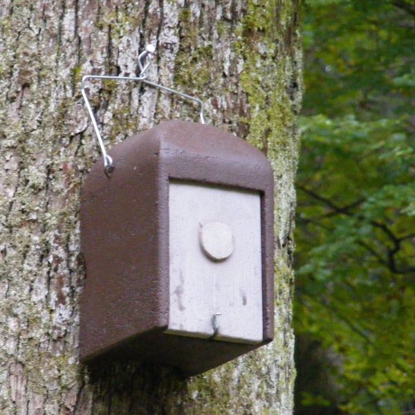 Schwegler Allgemeiner Schläferkobel 1KS