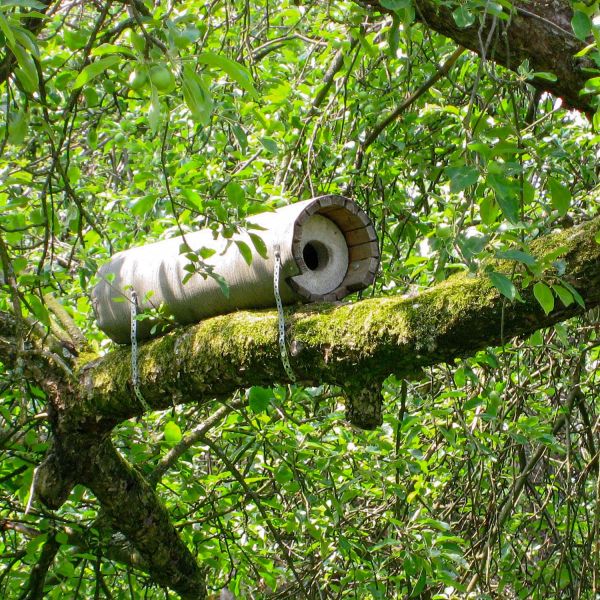 Schwegler Steinkauzröhre rund Typ Nr. 20B mit Marderschutz und Belüftung