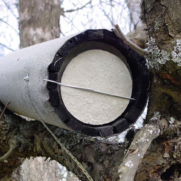 Schwegler Steinkauzröhre rund Typ Nr. 20B mit Marderschutz und Belüftung