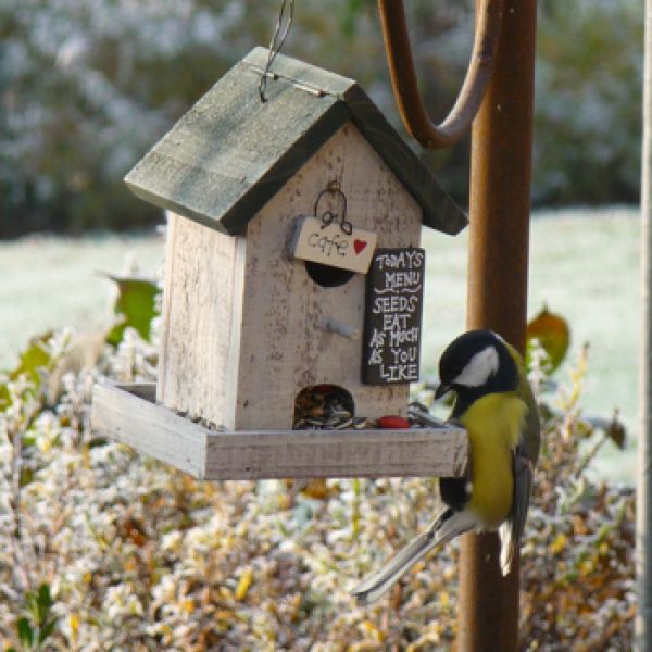 Vogelpfeife Kohlmeise Vogellockpfeife