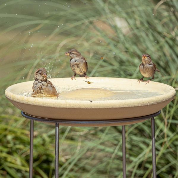 Vogeltränke CeraNatur