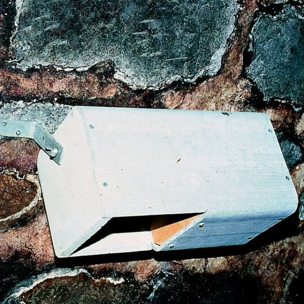 Schwegler Wasseramsel- und Bachstelzennistkasten Nr. 19