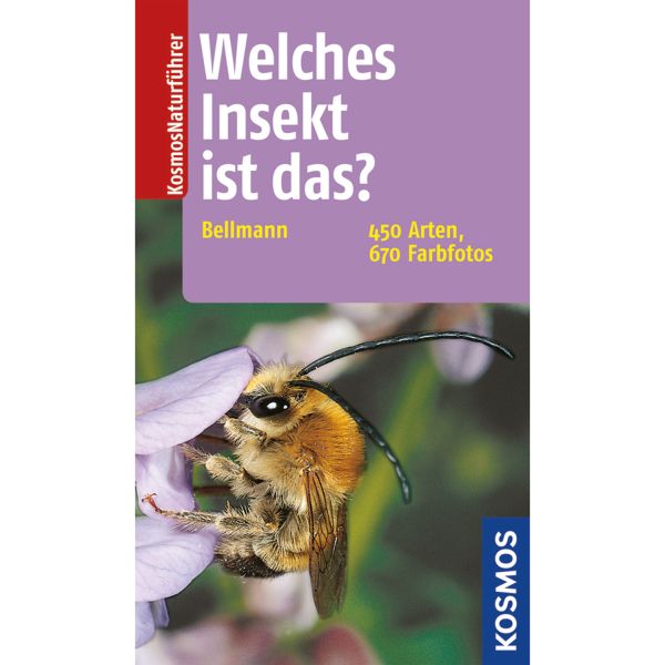 Welches Insekt ist das? Kosmos