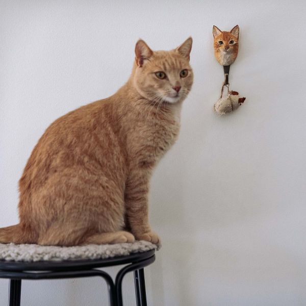 Wildlife Garden Haken Katze handgeschnitzt