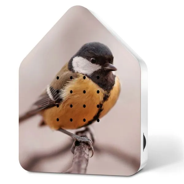 Zwitscherbox Kohlmeise - Limited Edition - Vogelgezwitscher - inkl. Saugnapf Zwitscherbox Kohlmeise - Limited Edition - Vogelgezwitscher - inkl. Saugnapf
