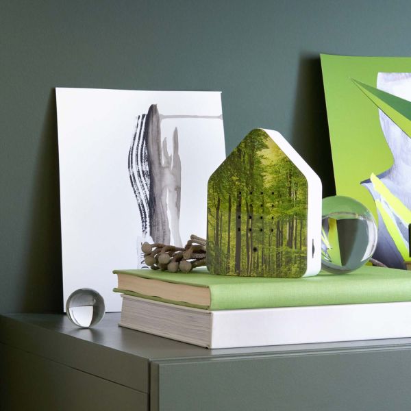 Zwitscherbox Waldmotiv - Vogelgezwitscher