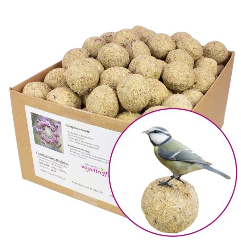 100 Meisenknödel mit Beeren und Insekten OHNE NETZ