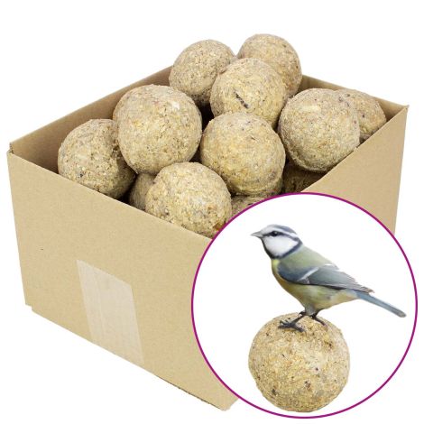 25 Meisenknödel mit Beeren und Insekten im Karton