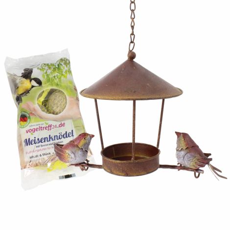 SET Futterhaus mit 2 Vögeln + 6 Meisenknödel