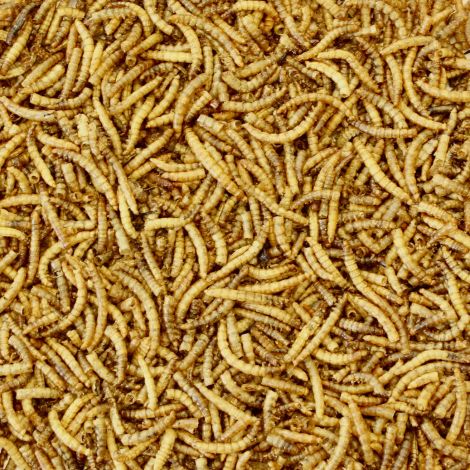 Mehlwürmer schonend getrocknet 500 g