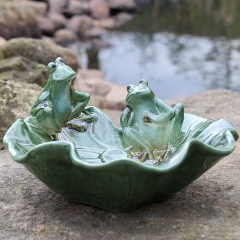 Vogeltränke Froschkonzert