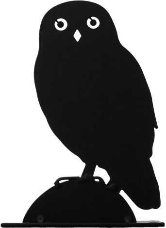 Silhouette Kleine Eule Steinkauz