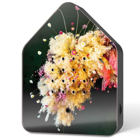 Zwitscherbox Floral Sky - Poppykalas Edition - inkl. Saugnapf