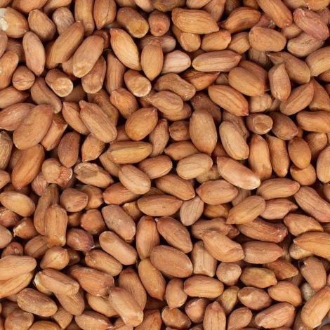 Erdnüsse mit Haut 20 kg (2 x 10 kg Säcke)