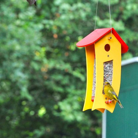 Futterspender gelb - Futtersilo für loses Vogelfutter