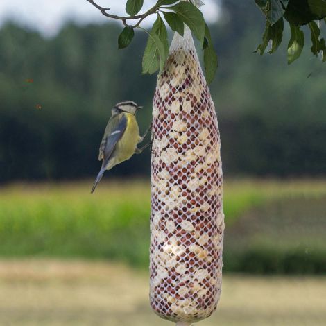 Vogelfutterstange Erdnuss-Mix