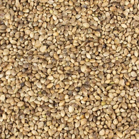 Hanfsamen 20 kg für Futterzwecke (2 x 10 kg Säcke)