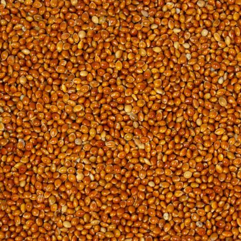rote Hirse 10 kg