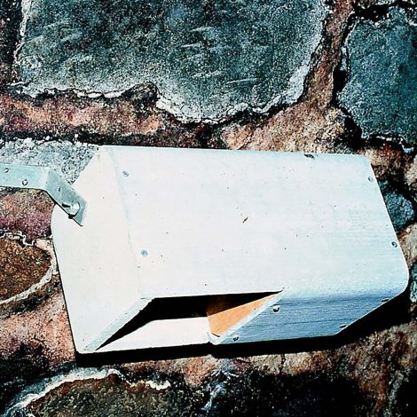 Schwegler Wasseramsel- und Bachstelzennistkasten Nr. 19