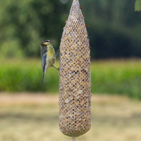 Vogelfutterstange Schalenfrei