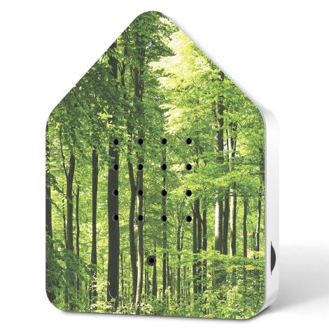 Zwitscherbox Waldmotiv - Vogelgezwitscher