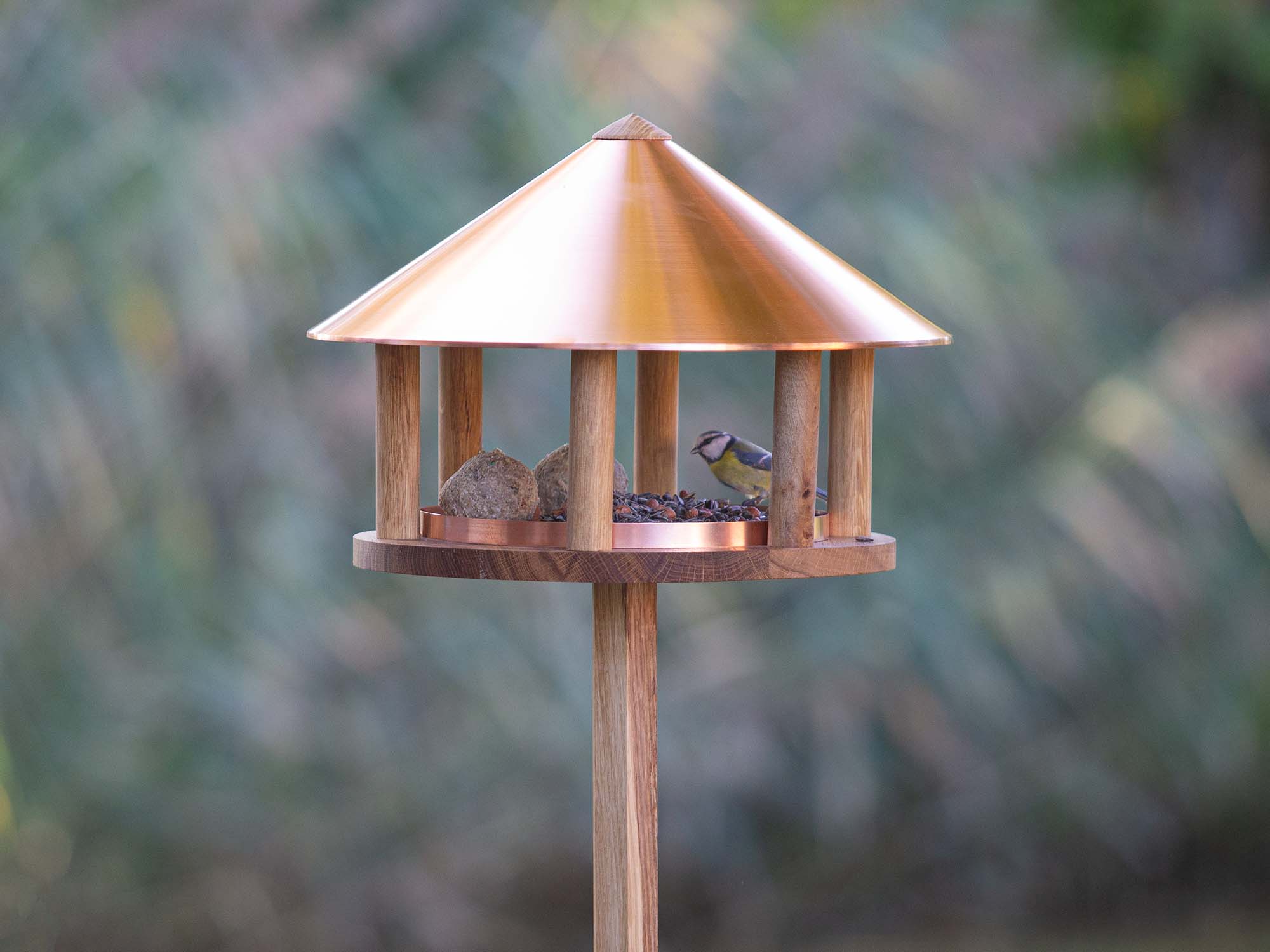 Vogelhaus kaufen